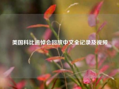 美国科比追悼会回放中文全记录及视频