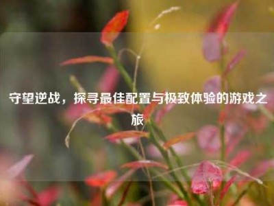 守望逆战，探寻更佳配置与极致体验的游戏之旅