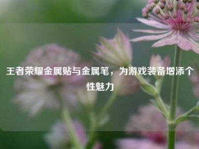 王者荣耀金属贴与金属笔，为游戏装备增添个性魅力