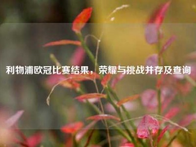 利物浦欧冠比赛结果，荣耀与挑战并存及查询