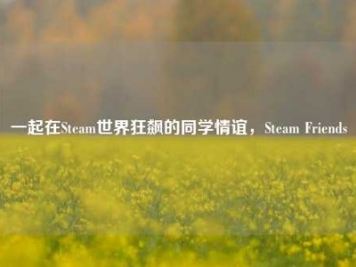 一起在Steam世界狂飙的同学情谊，Steam Friends