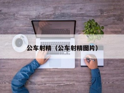 公车射精（公车射精图片）