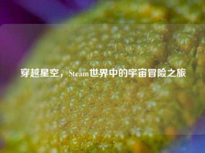 穿越星空，Steam世界中的宇宙冒险之旅