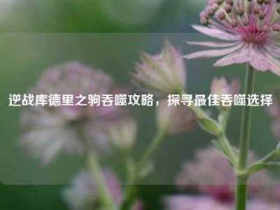 逆战库德里之驹吞噬攻略，探寻最佳吞噬选择