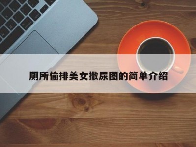厕所偷排美女撒尿图的简单介绍