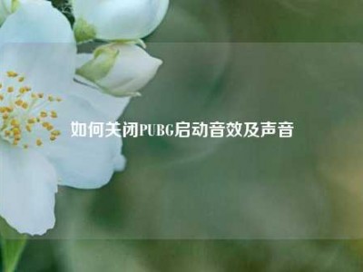如何关闭PUBG启动音效及声音