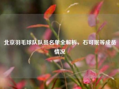 北京羽毛球队队员名单全解析，石可珉等成员情况