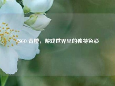 CSGO 青橙，游戏世界里的独特色彩