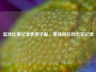 篮球比赛记录表电子版，赛场风云的忠实记录