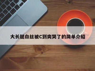 大长腿白丝被C到爽哭了的简单介绍