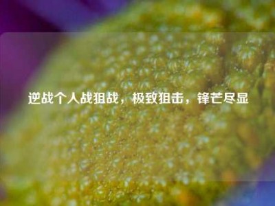 逆战个人战狙战，极致狙击，锋芒尽显