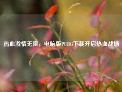 热血激情无限，电脑版PUBG下载开启热血战场