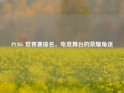 PUBG 世界赛排名，电竞舞台的荣耀角逐