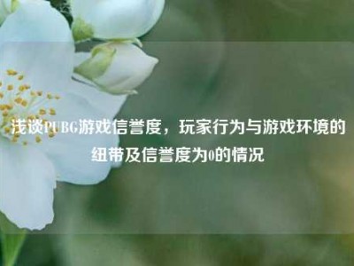 浅谈PUBG游戏信誉度，玩家行为与游戏环境的纽带及信誉度为0的情况