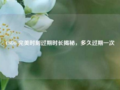 CSGO 完美时刻过期时长揭秘，多久过期一次