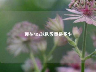 现在NBA球队数量是多少