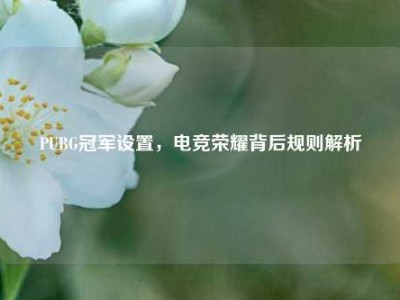 PUBG冠军设置，电竞荣耀背后规则解析