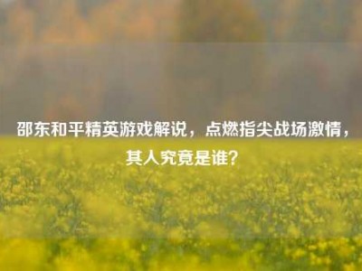 邵东和平精英游戏解说，点燃指尖战场     ，其人究竟是谁？