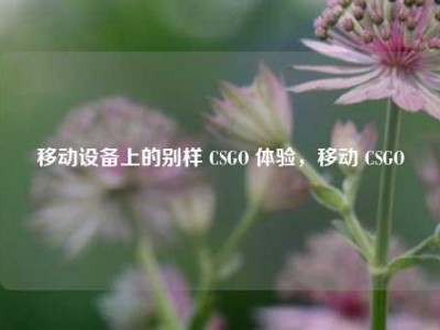 移动设备上的别样 CSGO 体验，移动 CSGO