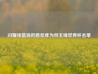 闪耀绿茵场的恩昆库为何无缘世界杯名单