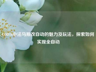 COD16中法马斯改自动的魅力及玩法，探索如何实现全自动