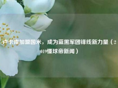 卢卡库加盟国米，成为蓝黑军团锋线新力量（2019懂球帝新闻）