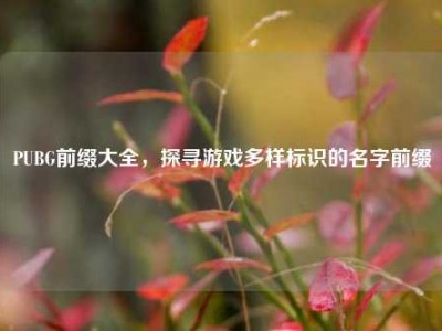 PUBG前缀大全，探寻游戏多样标识的名字前缀