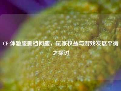 CF 体验服删档问题，玩家权益与游戏发展平衡之探讨