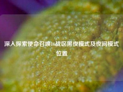 深入探索使命召唤16战区黑夜模式及夜间模式位置