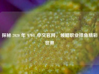 探秘 2020 年 WWE 中文官网，领略职业摔角精彩世界