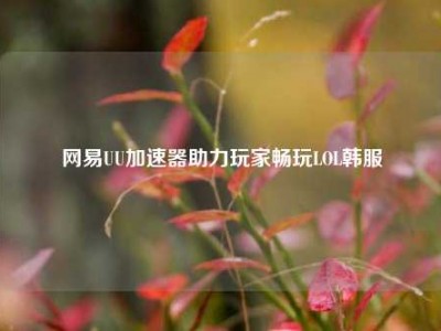网易UU加速器助力玩家畅玩LOL韩服