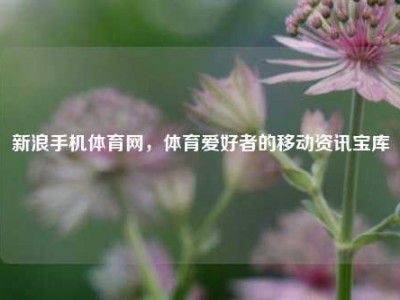 新浪手机体育网，体育爱好者的移动资讯宝库