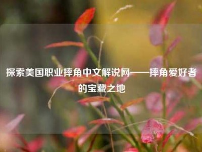 探索美国职业摔角中文解说网——摔角爱好者的宝藏之地