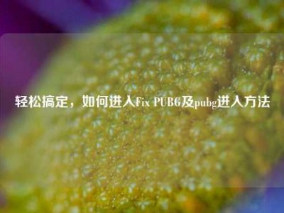 轻松搞定，如何进入Fix PUBG及pubg进入     