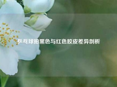 乒乓球拍黑色与红色胶皮差异剖析