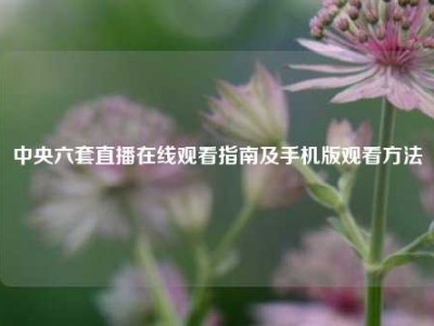 中央六套直播在线观看指南及手机版观看     
