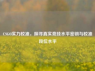 CSGO实力校准，探寻真实竞技水平密钥与校准段位水平