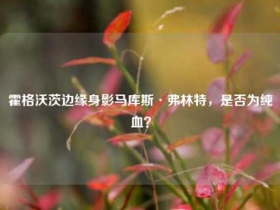 霍格沃茨边缘身影马库斯·弗林特，是否为纯血？