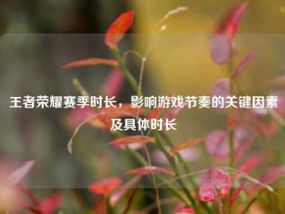 王者荣耀赛季时长，影响游戏节奏的关键因素及具体时长