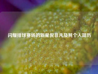 闪耀排球赛场的新星倪非凡及其个人简历