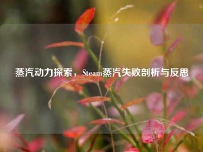 蒸汽动力探索，Steam蒸汽失败剖析与反思