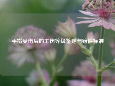 手指受伤后的工伤等级鉴定与赔偿标准