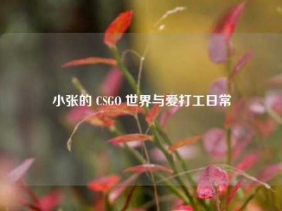 小张的 CSGO 世界与爱打工日常