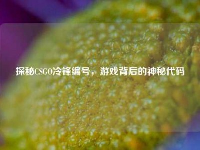探秘CSGO冷锋编号，游戏背后的神秘代码
