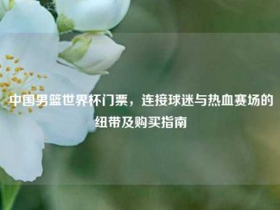 中国男篮世界杯门票，连接球迷与热血赛场的纽带及购买指南