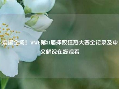 震撼全场！WWE第31届摔跤狂热大赛全记录及中文解说在线观看