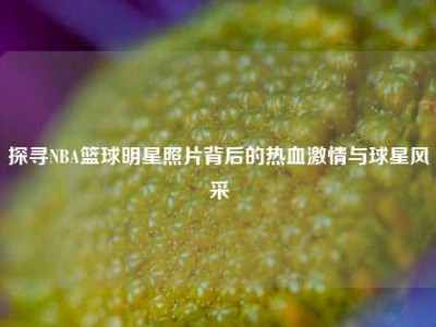 探寻NBA篮球明星照片背后的热血     与球星风采