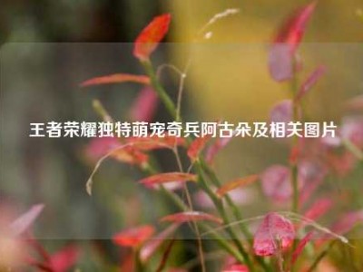 王者荣耀独特萌宠奇兵阿古朵及相关图片