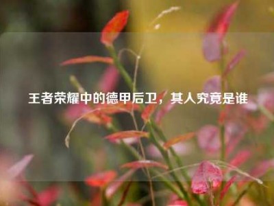 王者荣耀中的德甲后卫，其人究竟是谁