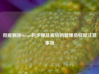 彻底删除Steam的步骤及需知的管理员权限注意事项